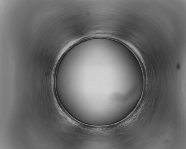 X0000091471341200708161120