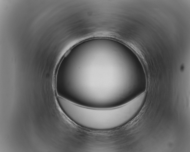 X0000091471342200708161120