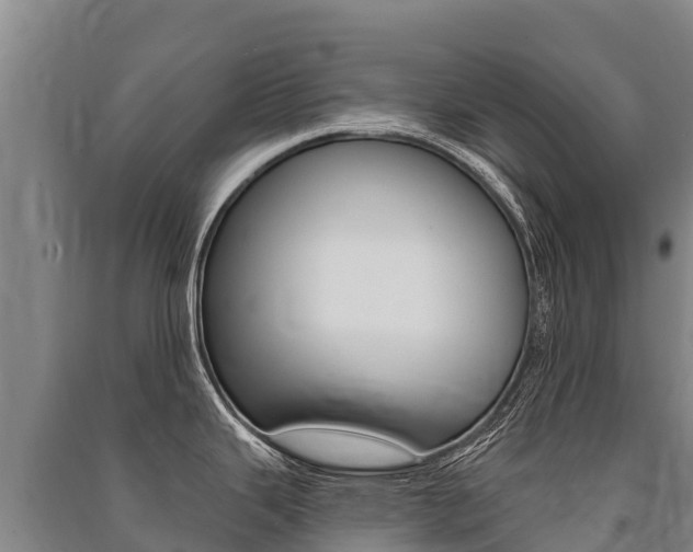 X0000091471343200708161120