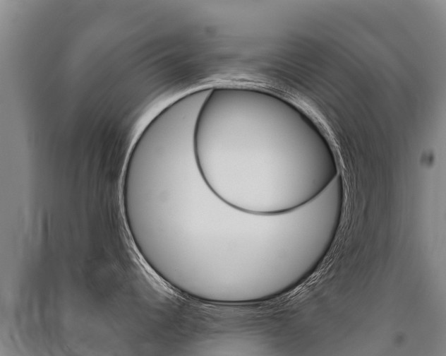 X0000091471344200708161120