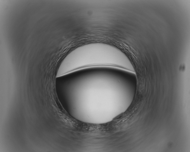 X0000091471345200708161119