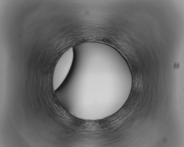 X0000091471346200708161119
