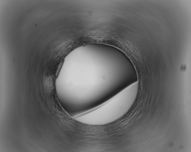 X0000091471347200708161119