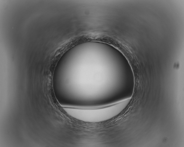 X0000091471349200708161119