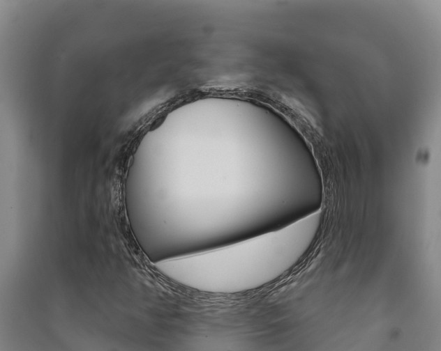 X0000091471350200708161119