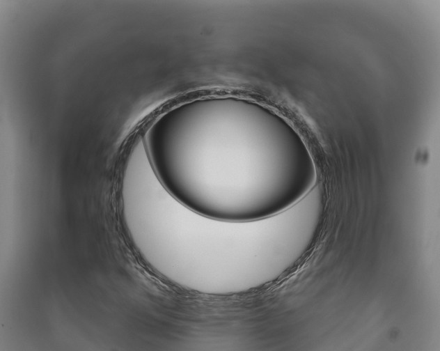 X0000091471352200708161119