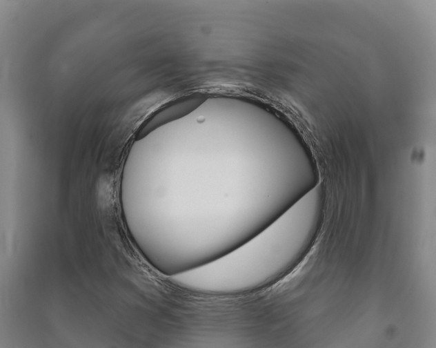 X0000091471353200708161119