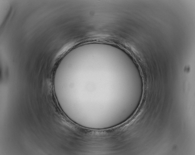 X0000091471354200708161119