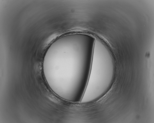X0000091471355200708161119
