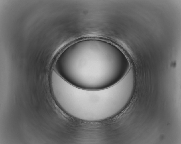 X0000091471356200708161119