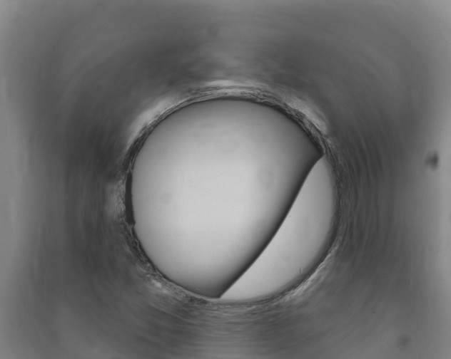 X0000091471357200708161119