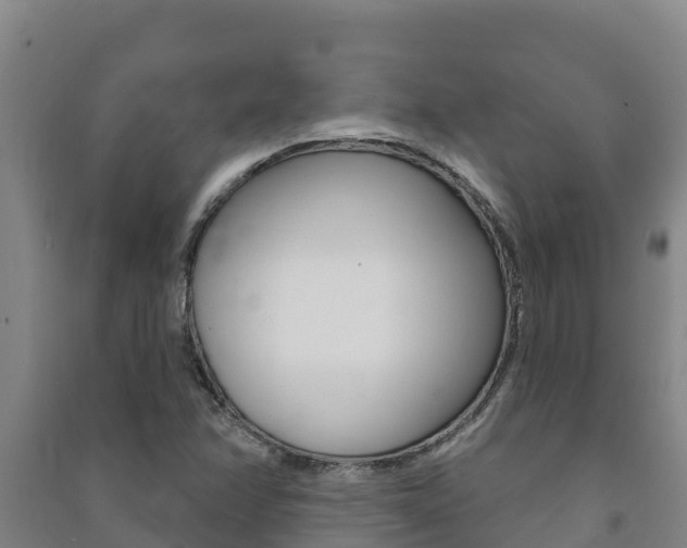 X0000091471358200708161119