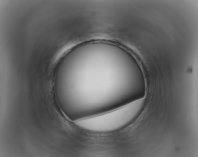 X0000091471359200708161119