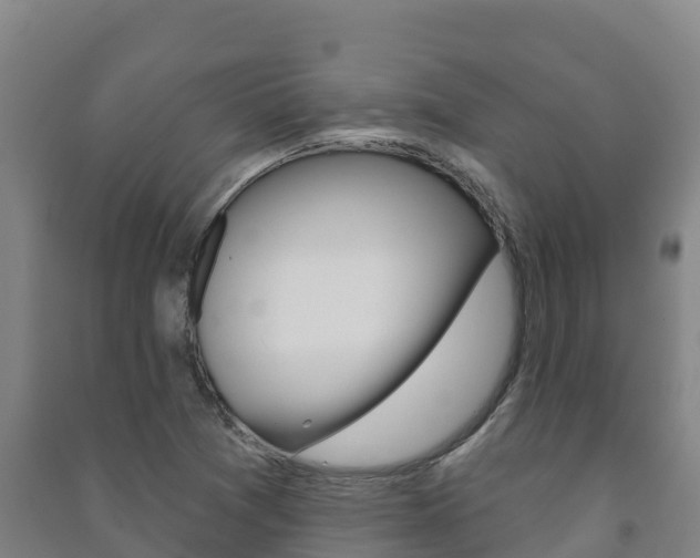 X0000091471361200708161119