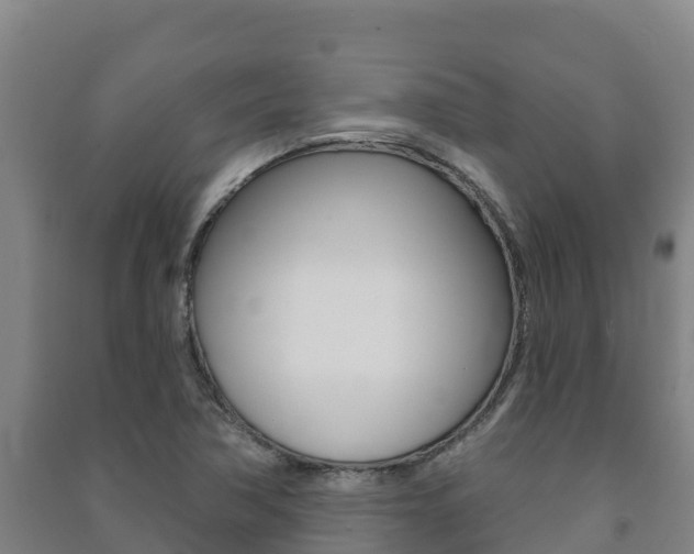 X0000091471362200708161119