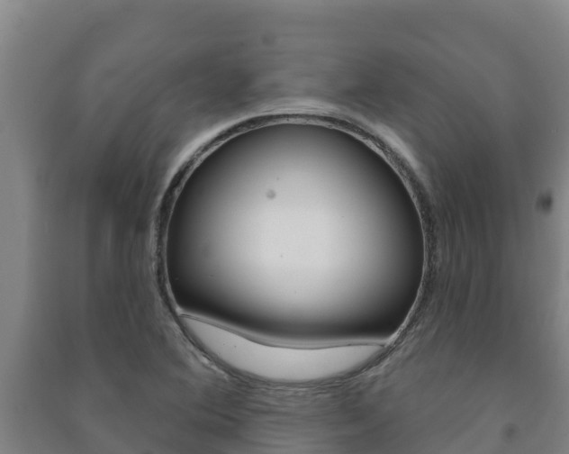 X0000091471364200708161119