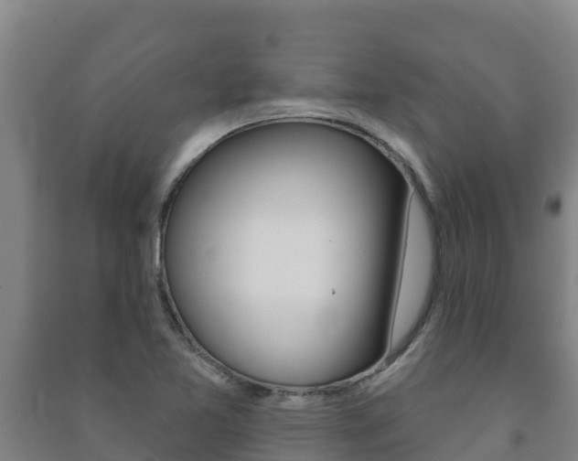 X0000091471365200708161119