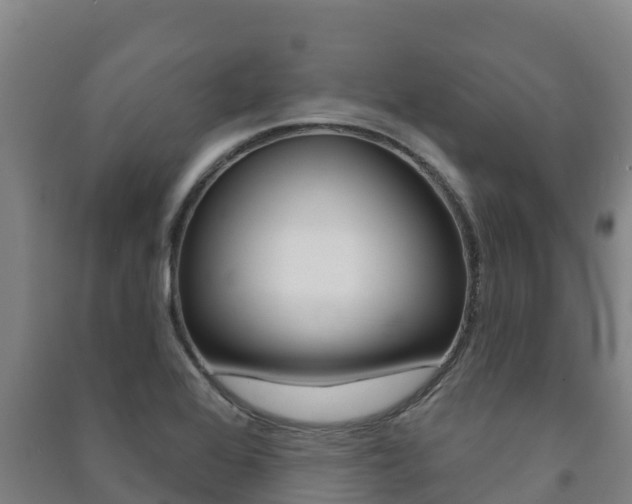 X0000091471368200708161119
