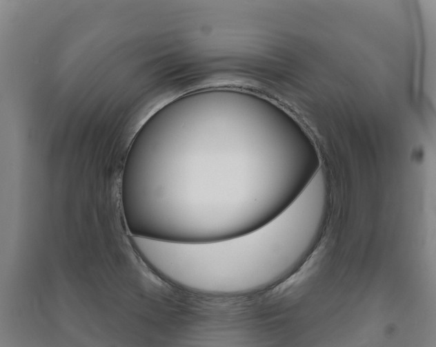 X0000091471369200708161119