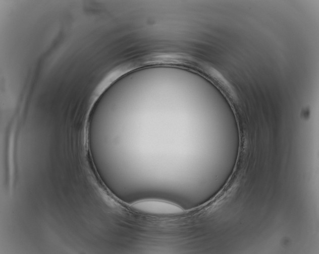 X0000091471370200708161119