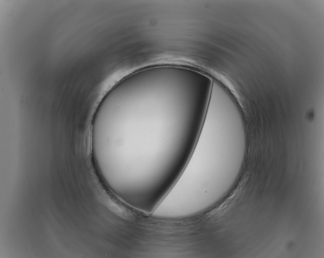 X0000091471371200708161119