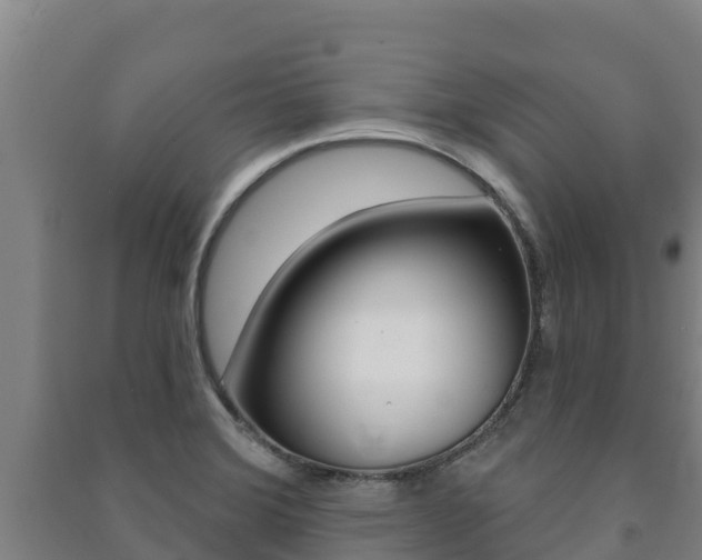 X0000091471372200708161119