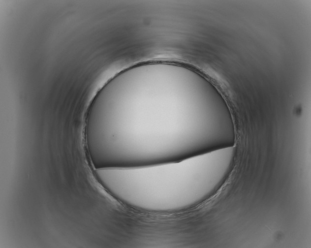 X0000091471374200708161119