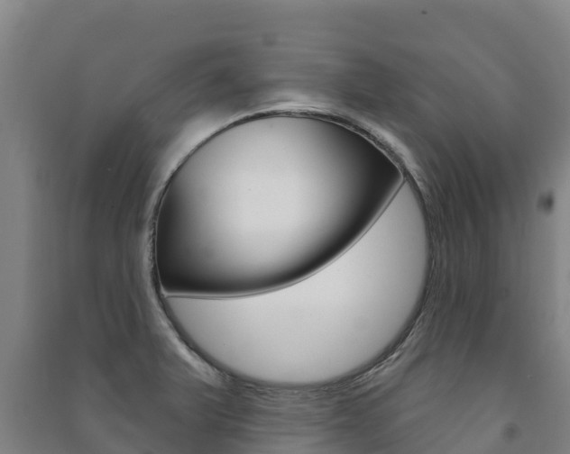 X0000091471375200708161119