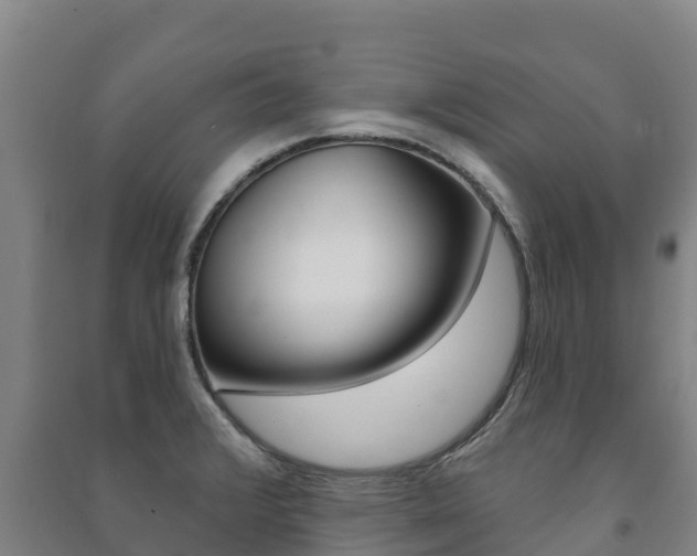 X0000091471376200708161119