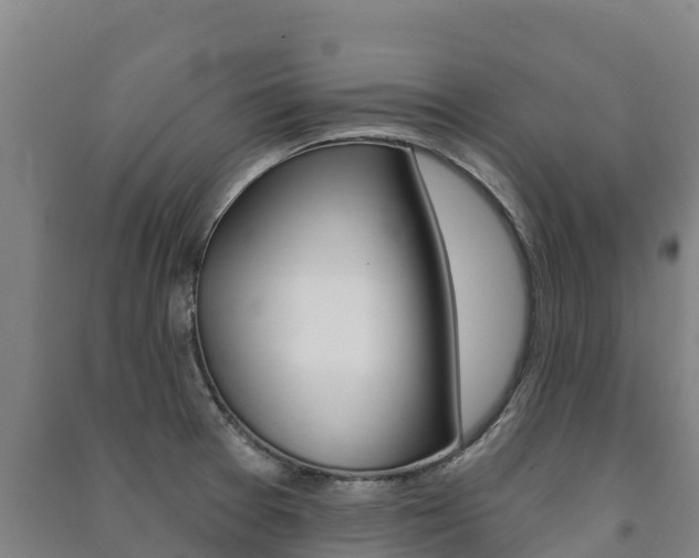 X0000091471377200708161119