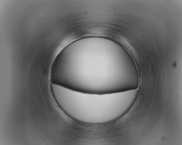 X0000091471378200708161119