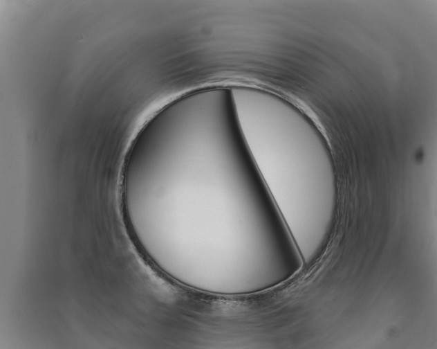 X0000091471379200708161119