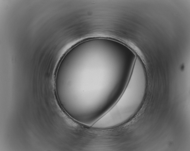 X0000091471380200708161119