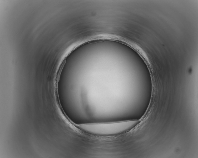 X0000091471381200708161119