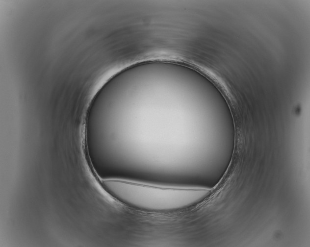 X0000091471383200708161119