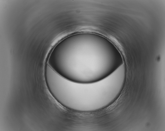 X0000091471384200708161119
