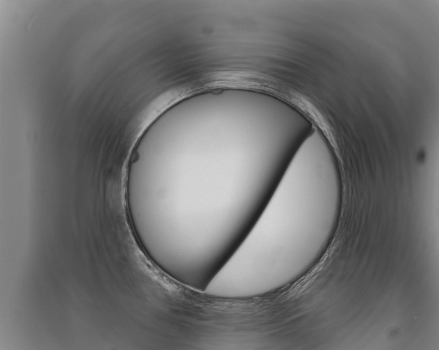 X0000091471386200708161119