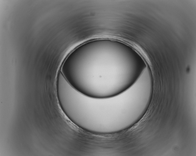 X0000091471388200708161119