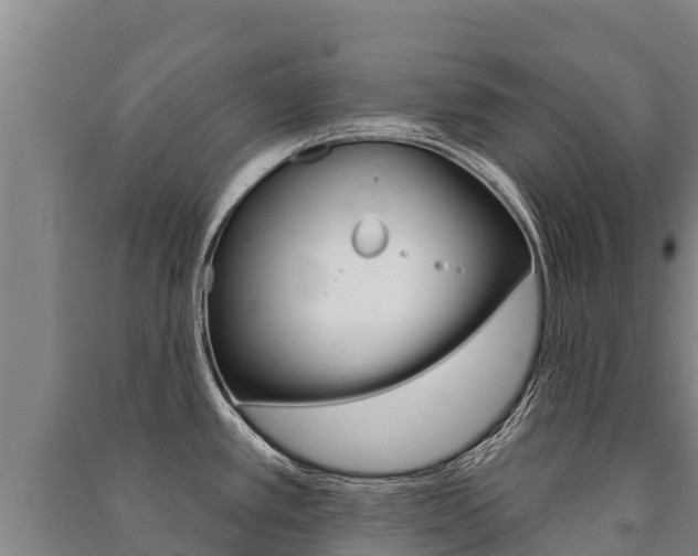 X0000091471389200708161119