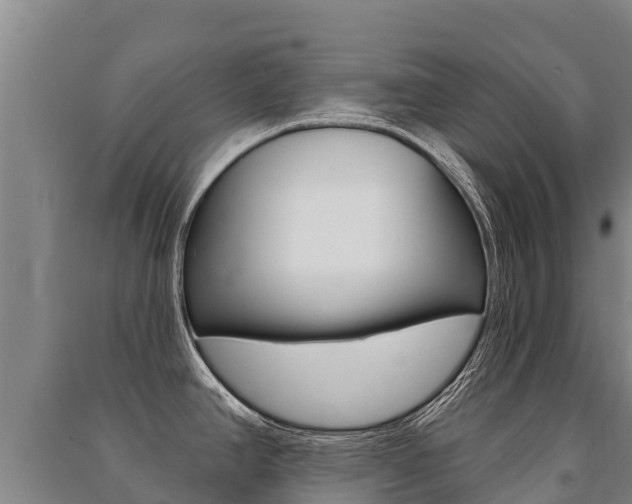 X0000091471390200708161119
