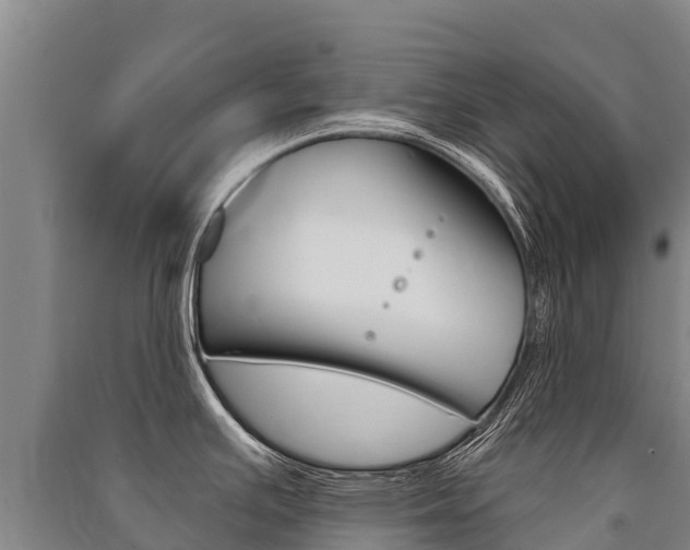 X0000091471391200708161119