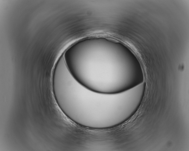 X0000091471392200708161119