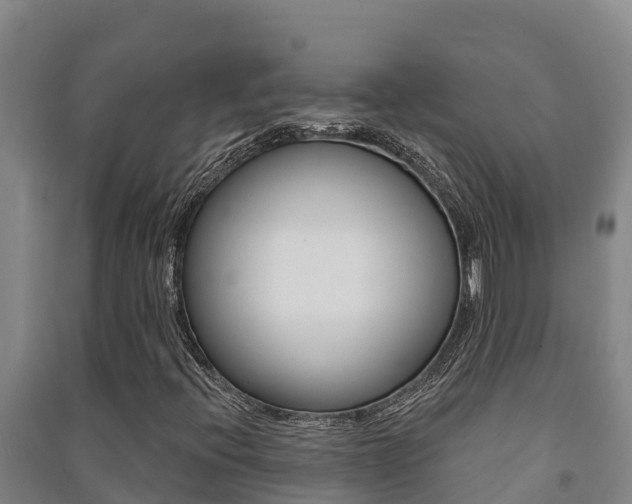 X0000091471396200708161118