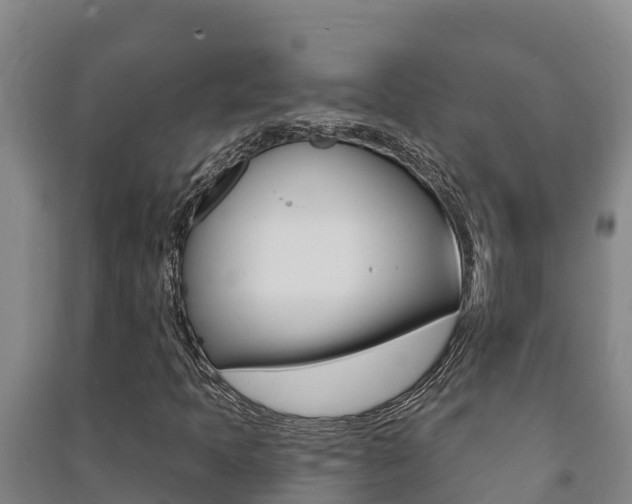 X0000091471397200708161118