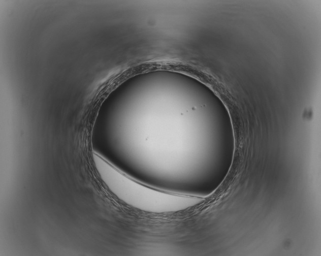 X0000091471398200708161118