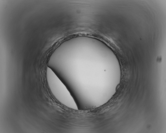 X0000091471399200708161118