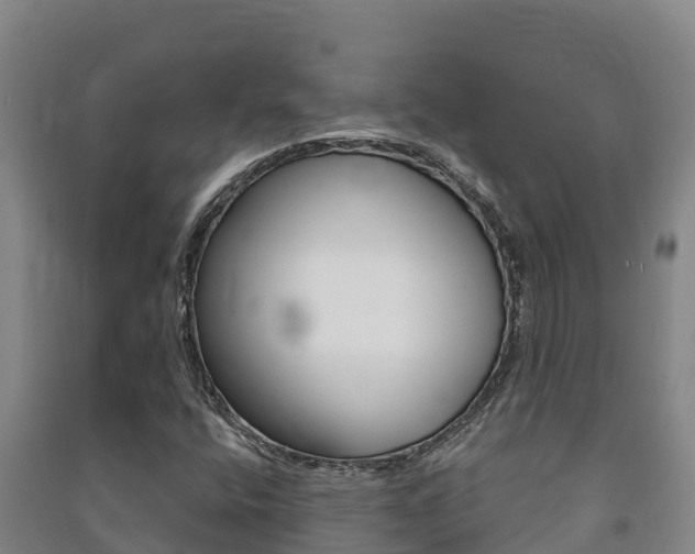 X0000091471400200708161118