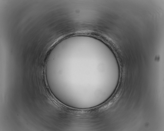 X0000091471401200708161118
