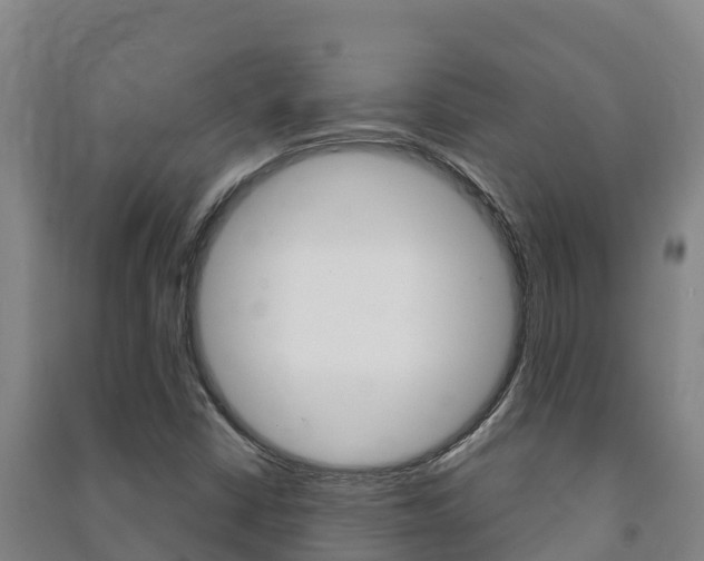 X0000091471402200708161118