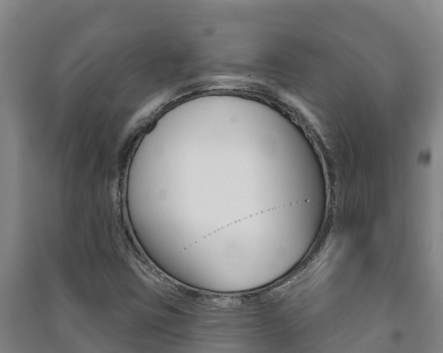 X0000091471403200708161118